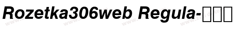 Rozetka306web Regula字体转换